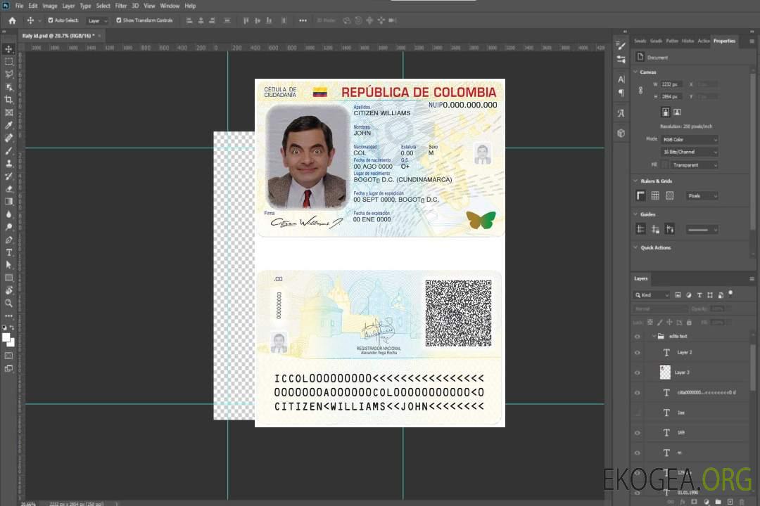 Modèle d'identification Colombie au format PSD, entièrement modifiable (2020 – présent) (1) template